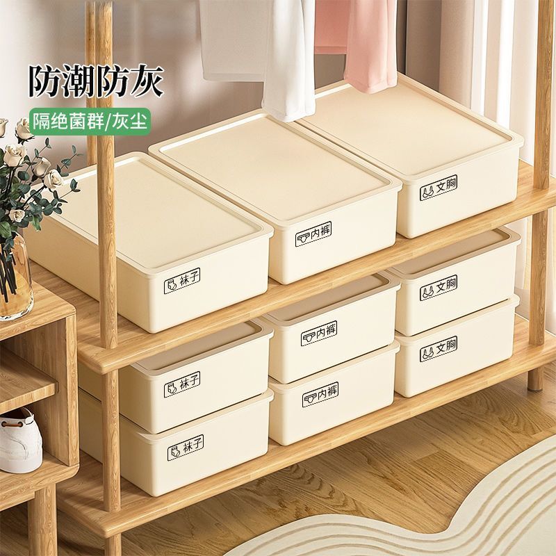 Underwear & Sock Storage Organizer Box